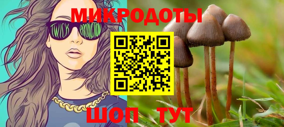 Галлюциногенные грибы Psilocybe Грозный