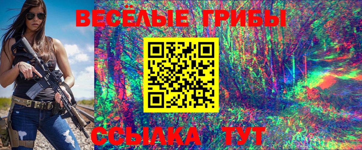 Псилоцибиновые грибы прущие грибы  как найти   Грозный  Вход с VPN 
